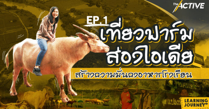 EP 1 เที่ยวฟาร์ม ส่องไอเดียสร้างความมั่นคงอาหารโรงเรียน