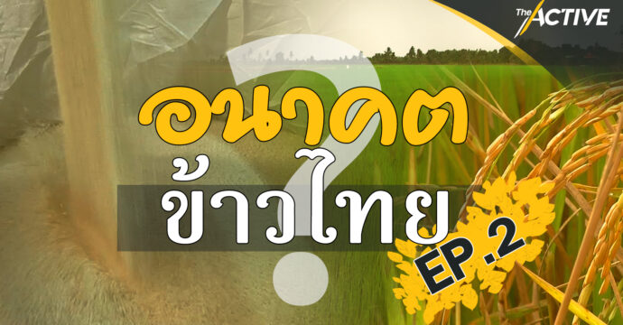 อนาคตข้าวไทย? EP2