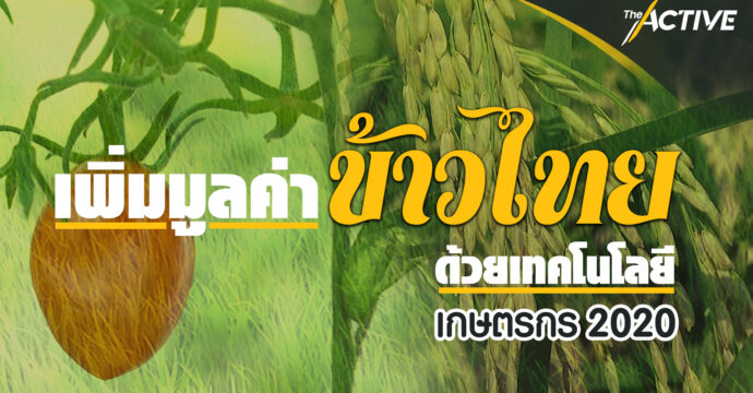 เพิ่มมูลค่าข้าวไทย ด้วยเทคโนโลยี : เกษตรกร 2020