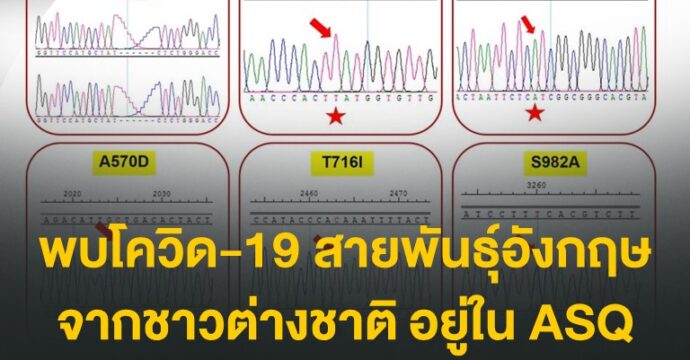 พบโควิด-19 สายพันธุ์อังกฤษ จากต่างชาติใน ASQ