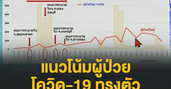 แนวโน้มป่วยโควิด-19 ทรงตัว