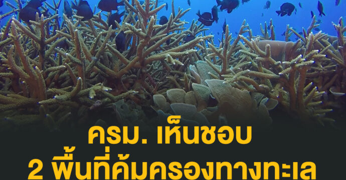 ครม. เห็นชอบ 2 พื้นที่คุ้มครองทางทะเล