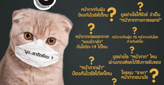 Q&A | ไขข้อสงสัย จบใน 8 คำถาม เกี่ยวกับ “หน้ากาก” ในประเทศไทย