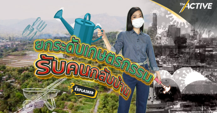 ยกระดับเกษตรกรรม รับคนกลับบ้าน : Explainer (12 มิ.ย. 64)