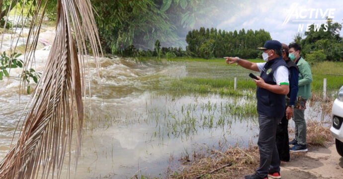 เกษตรกร เตรียมรับเงินเยียวยาเพิ่ม หลัง “ปรับเกณฑ์”  ช่วยผู้ประสบภัยพิบัติด้านการเกษตรใหม่ จากน้ำท่วมฉับพลัน