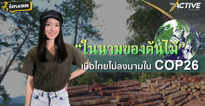 “ในนามของต้นไม้” เมื่อไทยไม่ลงนามใน COP26