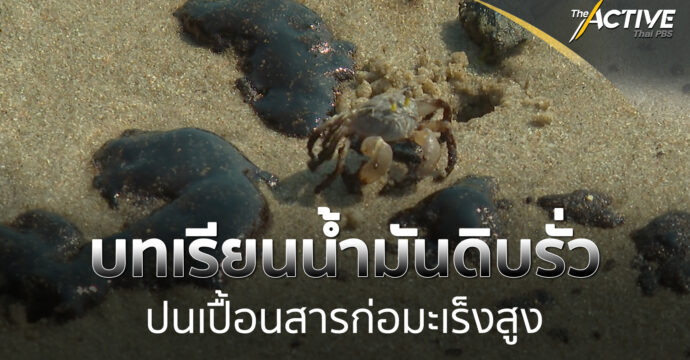 บทเรียนน้ำมันดิบรั่ว ปนเปื้อนสารก่อมะเร็งสูง