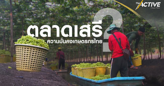 ตลาดเสรี ความมั่นคงเกษตรกรไทย ?