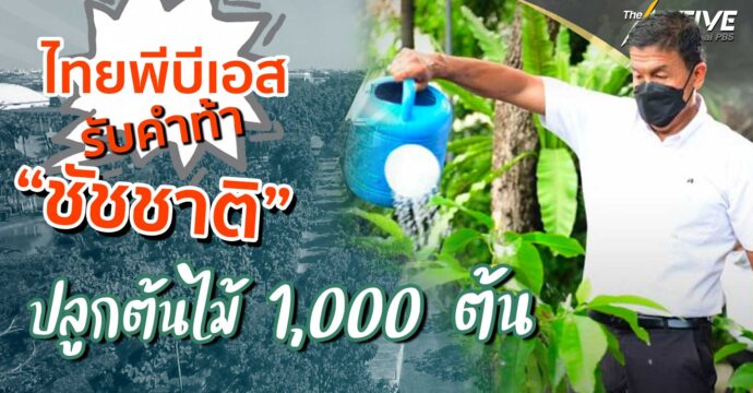 Thai PBS รับคำท้า ปลูกต้นไม้ 1,000 ต้นกับ ‘ชัชชาติ’