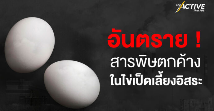 อันตราย ! สารพิษตกค้างในไข่เป็ดเลี้ยงอิสระ