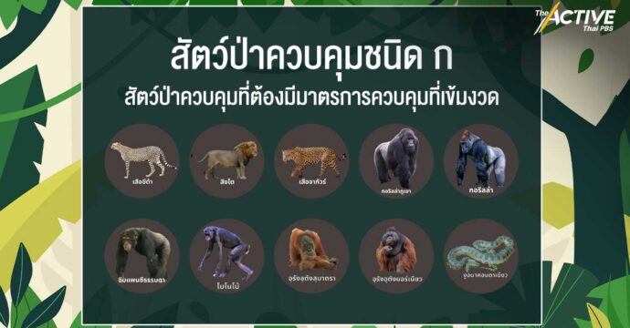 ขีดเส้น แจ้งครอบครองสัตว์ป่าควบคุม 10 ชนิดแรก ภายใน 16 มี.ค.นี้