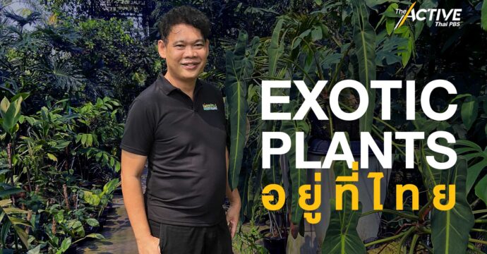 Exotic Plants อยู่ที่ไทย