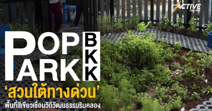 Pop Park BKK ‘สวนใต้ทางด่วน’ พื้นที่สีเขียวเชื่อมวิถีวัฒนธรรมริมคลอง