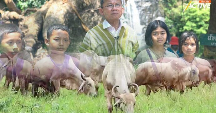 ‘สมศักดิ์’ หนุนชุมชนชาติพันธุ์เลี้ยงวัว เพิ่มรายได้ ไม่กระทบป่า