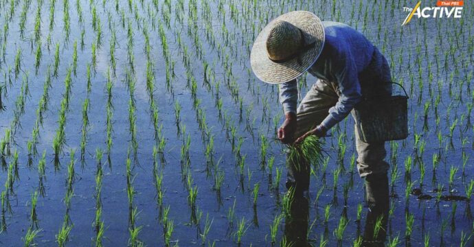 กระทรวงดิจิทัลฯ เสนอร่างกฎกระทรวงสำมะโนการเกษตร