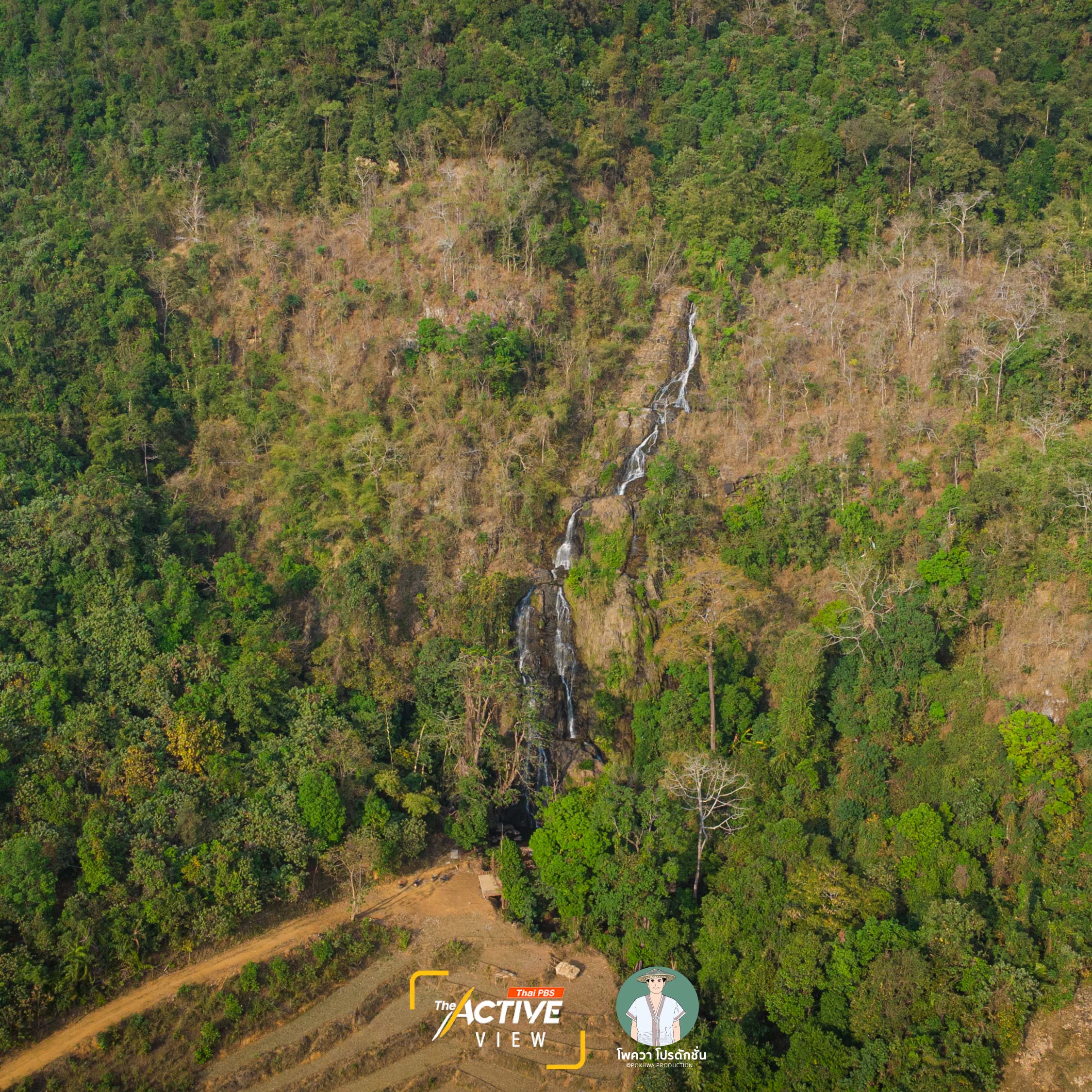 พื้นที่ป่าในชุมชนบ้านแม่ปอคี แบ่งออกเป็นป่า 4 ประเภท คือ พื้นที่ป่าตามความเชื่อ, ป่าอนุรักษ์ ซึ่งเป็นป่าต้นน้ำ, ป่าใช้ประโยชน์ - ป่าชุมชน, พื้นที่ป่าตามโครงการของรัฐ  "น้ำตกแม่ปอคี" คือหนึ่งในพื้นที่ป่าความเชื่อ หรือพื้นที่จิตวิญญาณที่ประกอบพิธีกรรมขอพร ขอขมา รวมถึงการทำนายอนาคตชุมชน