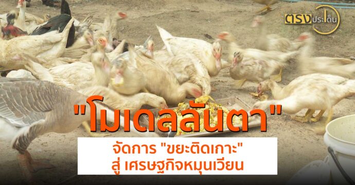 โมเดลลันตา จัดการ “ขยะติดเกาะ”สู่ เศรษฐกิจหมุนเวียน(14 มิ.ย.67) I ตรงประเด็น