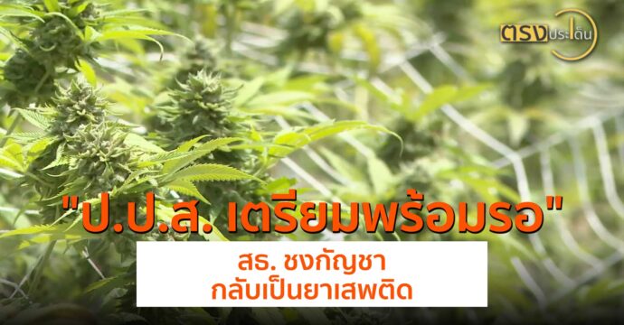 ป.ป.ส. เตรียมพร้อมรอ สธ. ชงกัญชากลับเป็นยาเสพติด(9 ก.ค. 67) I ตรงประเด็น