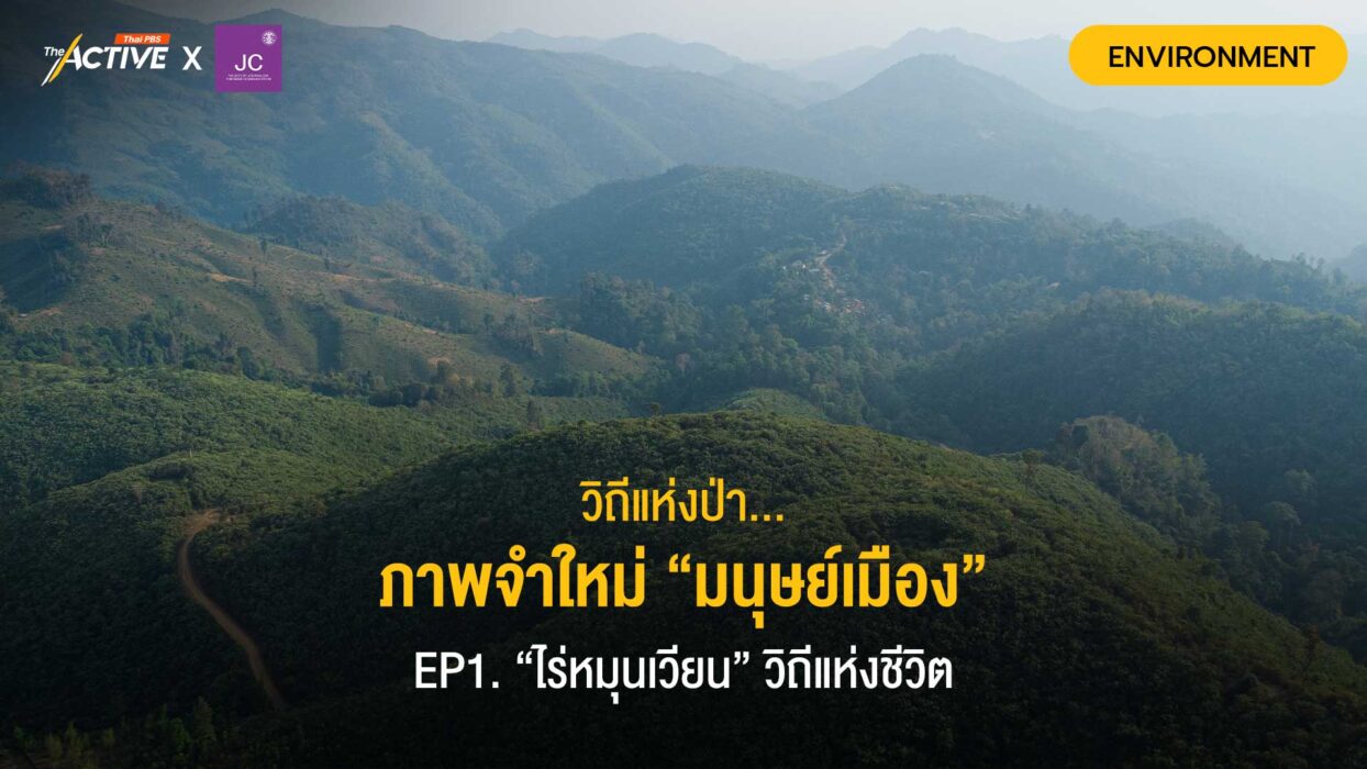 วิถีแห่งป่า...ภาพจำใหม่ “มนุษย์เมือง” EP1. “ไร่หมุนเวียน” วิถีแห่งชีวิต