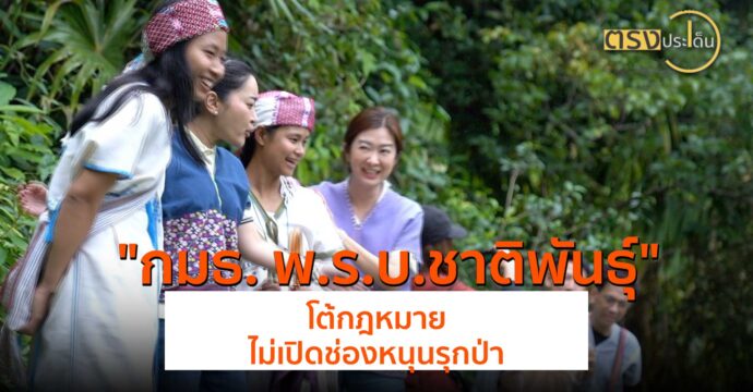 กมธ. พ.ร.บ.ชาติพันธุ์ โต้กฎหมายไม่เปิดช่องหนุนรุกป่า(6 ส.ค. 67) I ตรงประเด็น