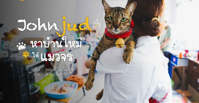 ‘Johnjud’ หาบ้านใหม่ ให้ ‘แมวจร’